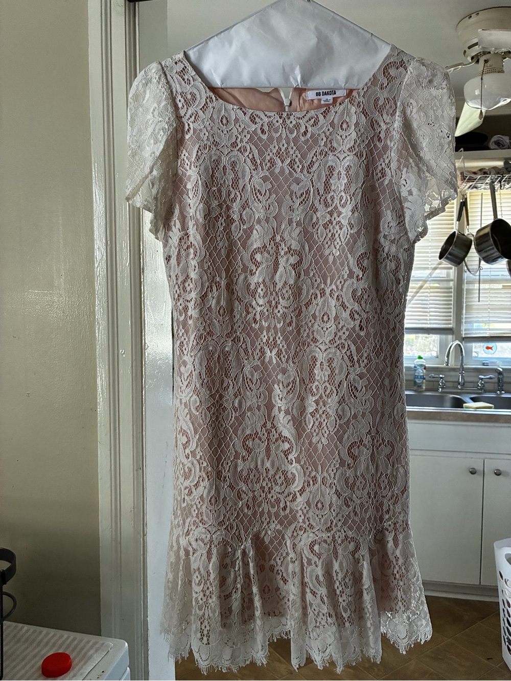BB Dakota Blush Pink Lace Shift Dress